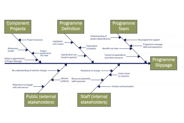 A cause and effect diagram compares potential impacts on the successful delivery of a programme or project.