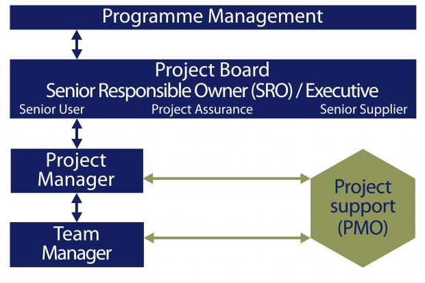 Role of the programme and project management offices | Department of ...