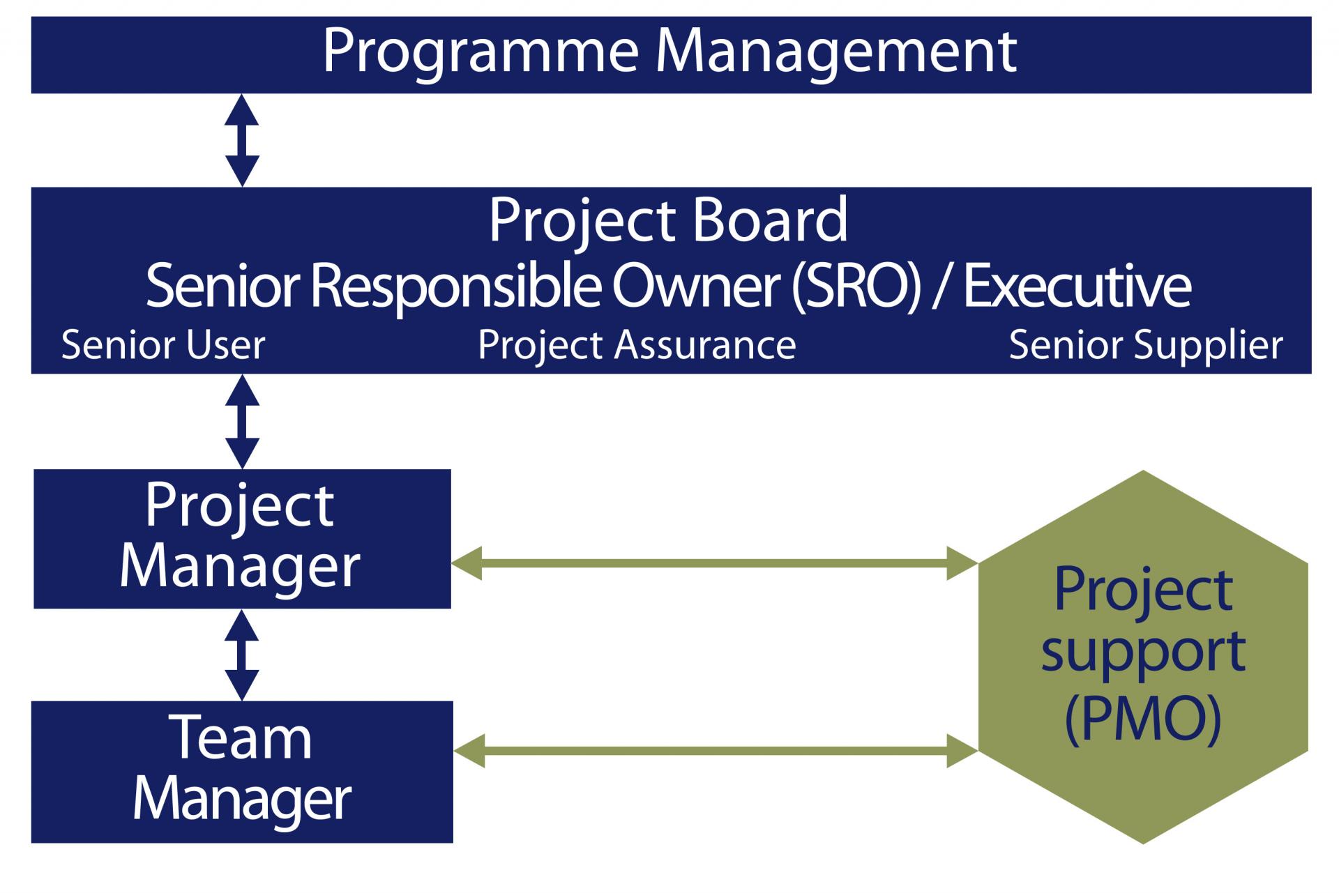 Role of the programme and project management offices | Department of Finance